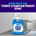 thumbnail image 2 of Dawn Professional Plus Manual Pot & Pan Dish Detergent, 1 gal., 2 of 8