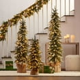 thumbnail image 1 of Member's Mark Pre-Lit Flocked Alpine Trees, Set of 3, 1 of 3