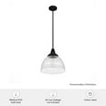thumbnail image 5 of Hunter Cypress Grove with Clear Holophane Glass 1 Light Pendant Ceiling Light Fixture, 5 of 8