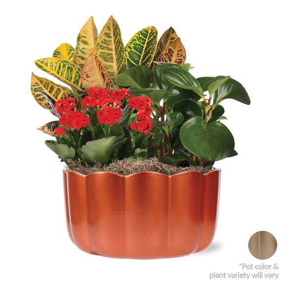 10" Fall Centerpiece in Bronc Pot