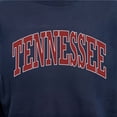 thumbnail image 6 of State of Mine Varsity Arch State Fleece Sweatshirt, 6 of 7