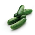 thumbnail image 5 of Mini Cucumbers, 2 lbs., 5 of 7