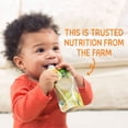 thumbnail image 3 of HappyBABY Organics Clearly Crafted Fruit & Oat Pouches, Variety Pack, 12 ct., 4 oz., 3 of 9