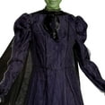 thumbnail image 7 of Universal Pictures Wicked Elphaba Adult Prestige Gown Costume, 7 of 9