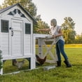 thumbnail image 14 of Backyard Discovery Sweetwater Cedar Wooden Chicken Coop with Run, Nesting Box, and Automatic Door, 14 of 18