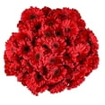 thumbnail image 1 of Member's Mark Gerbera Daisies, choose color and stem count, 1 of 3