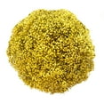 thumbnail image 1 of Member's Mark Enhanced Gypsophila, choose color and stem count, 1 of 3