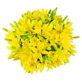 thumbnail image 1 of Member's Mark LA Hybrid Lilies, choose color and stem count, 1 of 8