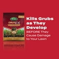 thumbnail image 4 of Scotts GrubEx1 Season Long Grub Killer, 28.7 lbs., 4 of 12
