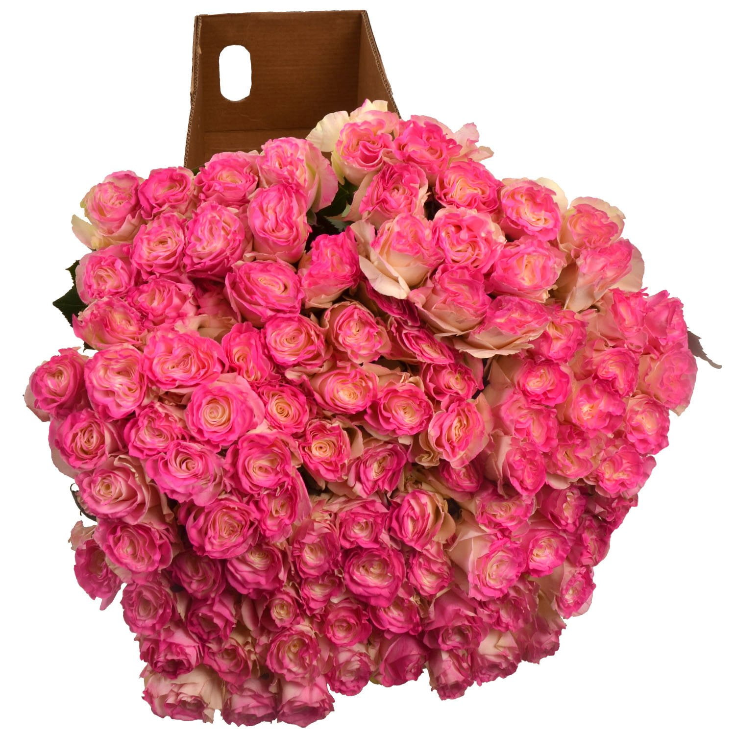 Member's Mark Illusion Roses, 96 stems, Choose color variety