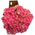 thumbnail image 3 of Member's Mark Illusion Roses, 96 stems, Choose color variety, 3 of 7