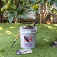 thumbnail image 3 of Sam’s Club Americana 5 Gallon Bucket with Lid, 2 Pack, 3 of 9
