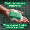 thumbnail image 3 of Irish Spring Bar Soap, Original  Clean, 4 oz., 20 ct., 3 of 6