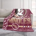 thumbnail image 2 of Logo Brands Florida State Seminoles 60"x70" Super Plush Blanket, 2 of 7