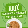 thumbnail image 4 of Purina Friskies Pate Wet Cat Food Variety Pack with Glaz’d and Infuz’d and Friskies Pate, 60 ct., 5.5 oz. Cans, 4 of 7
