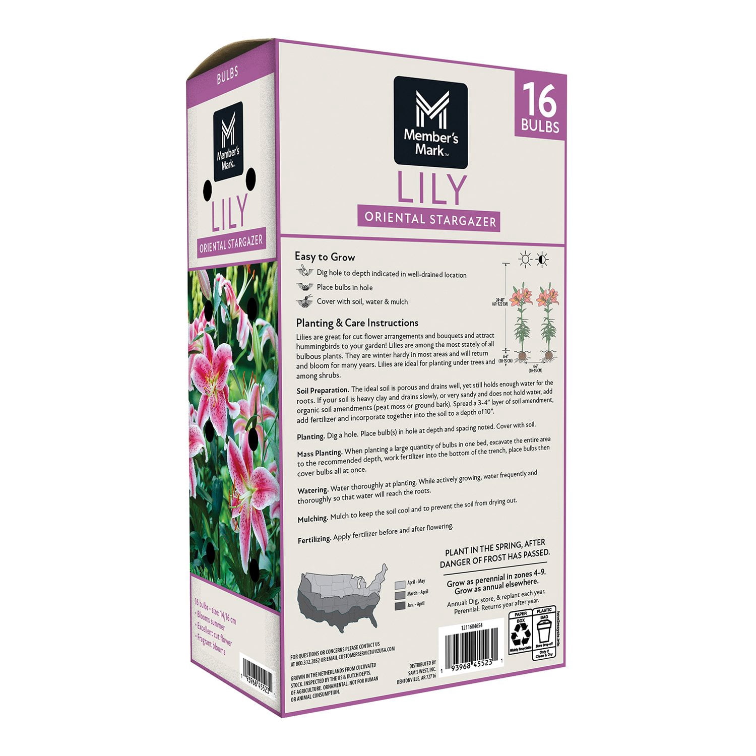 Member's Mark Lily Oriental Stargazer Dormant Bulbs, 16pk