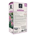 thumbnail image 2 of Member's Mark Lily Oriental Stargazer Dormant Bulbs, 16pk, 2 of 8