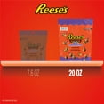 thumbnail image 4 of REESE'S Halloween Milk Chocolate Peanut Butter Creme Mini Pumpkins Candy, 20 oz., 4 of 8