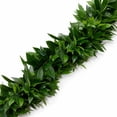 thumbnail image 1 of Member's Mark Garland, Cocculus & Italian Ruscus, Choose length, 1 of 4