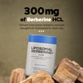 thumbnail image 4 of Codeage Liposomal Berberine Supplement Capsules, 60 ct., 4 of 10