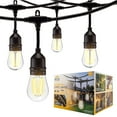 thumbnail image 1 of EcoScapes by Enbrighten 48' Outdoor LED Café String Lights, 24 Bulbs, 1 of 7