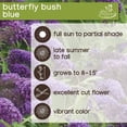 thumbnail image 6 of Member's Mark Buddleia & Weigela Butterfly Bush Blue & Weigela Deep Pink Dormant Bulbs, 2pk, 6 of 9