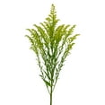 thumbnail image 1 of Member's Mark Golden Glory Solidago 140 stems, 1 of 5