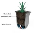 thumbnail image 9 of Mayne Valencia 8" Wall Mount Planter, Set of 3, 9 of 10