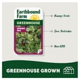 thumbnail image 4 of Earthbound Farm Greenhouse Spring Mix, 16 oz., 4 of 5