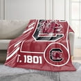 thumbnail image 2 of Logo Brands South Carolina Gamecocks 60"x70" Super Plush Blanket, 2 of 6