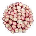 thumbnail image 1 of Member's Mark Ecuadorian Premium Roses, choose color variety and stem count, 1 of 8