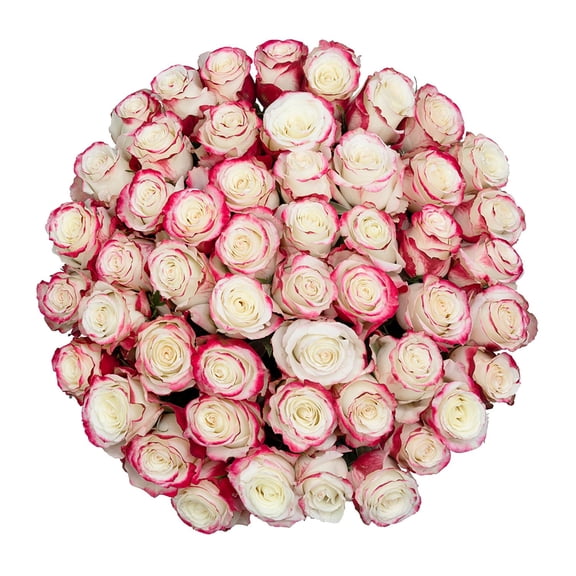 Member's Mark Ecuadorian Premium Roses, choose color variety and stem count