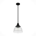 thumbnail image 8 of Hunter Cypress Grove with Clear Holophane Glass 1 Light Pendant Ceiling Light Fixture, 8 of 8