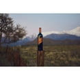 thumbnail image 3 of Trapiche Broquel Malbec Red Wine (750 ml), 3 of 6