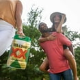 thumbnail image 4 of Dos Equis Mexican Lager Beer, 5 L Mini Keg, 4 of 8
