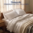 thumbnail image 2 of Thomasville 2-Pack Premium Hotel Pillows, 2 of 7