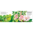 thumbnail image 4 of Pop-Up Peekaboo! Tree, Board Book, 4 of 4