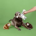 thumbnail image 7 of Petshop Hanging' In There Plush Dog Toy, 3 Pack, 7 of 7