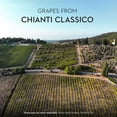 thumbnail image 3 of Ruffino Riserva Ducale Chianti Classico DOCG Italian Red Wine 750 ml, 3 of 7