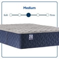 thumbnail image 3 of Sealy Wellbrook Mattress (Available in Medium and Soft), 3 of 11