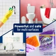 thumbnail image 5 of Fabuloso 2X Concentrated Multi-Purpose Cleaner, Watermelon 210 fl. oz., 5 of 8