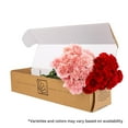 thumbnail image 2 of Member's Mark Carnations, Choose color and stem count, 2 of 5
