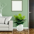 thumbnail image 4 of Artificial Premium Rubber Plant in Fluted Off White Pot, 4 of 5