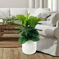 thumbnail image 3 of Artificial Premium Fiddle Leaf Fig Plant in Off White Pot, 3 of 5