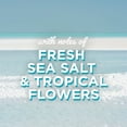 thumbnail image 11 of Glade Automatic Spray Air Freshener Refills, Aqua Waves, 4 ct., 11 of 15