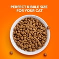 thumbnail image 2 of IAMS Proactive Health Indoor Weight Hairball Care Chicken Adult Dry Cat Food, 25 lbs., 2 of 12