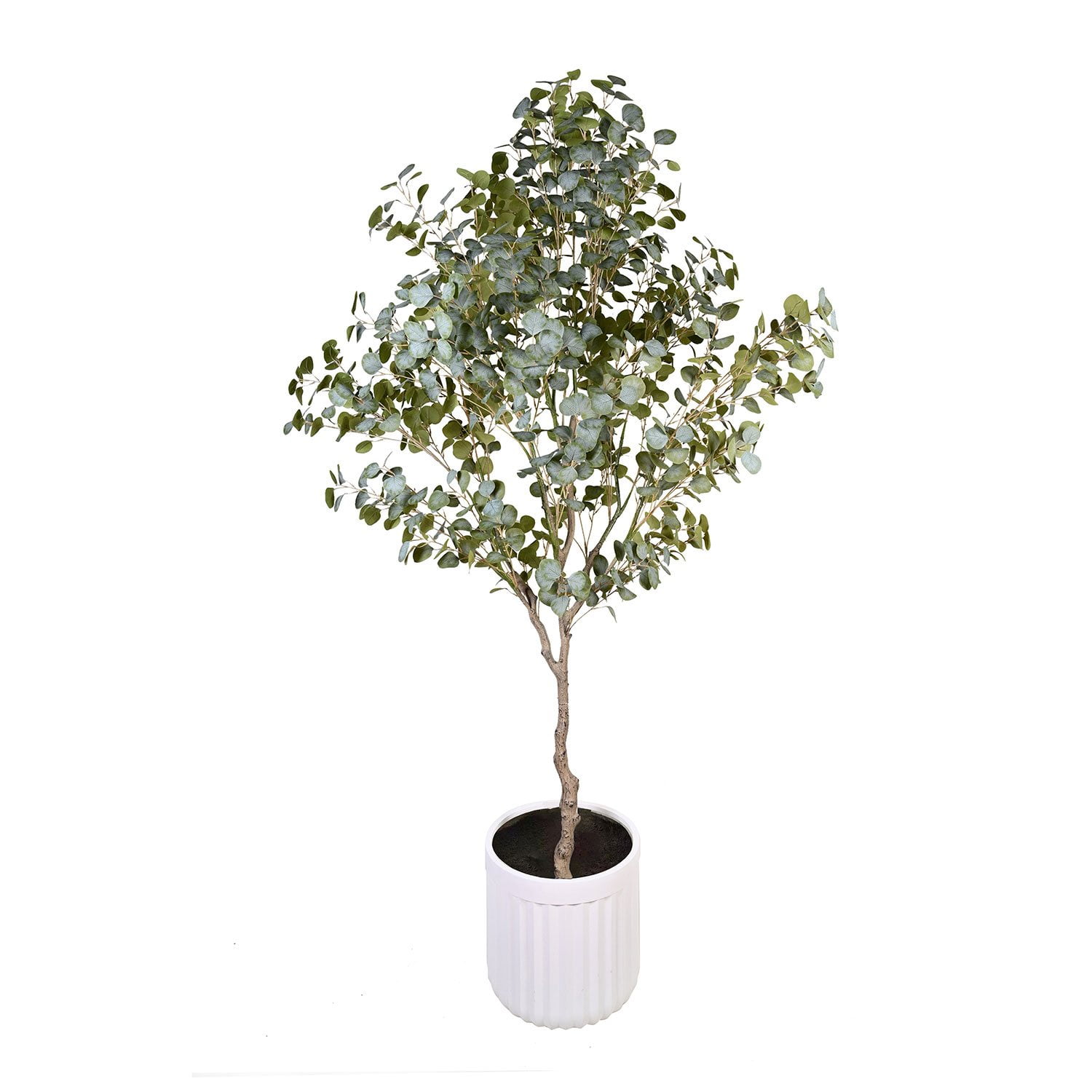Faux 8' Deluxe Ficus Tree in Oversized Cream Pot - Samsclub.com