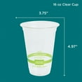 thumbnail image 9 of World Centric Compostable Clear PLA Cold Cups, 16 oz. 100 ct., 9 of 9