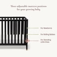 thumbnail image 3 of Little Seeds Aster 4-in-1 Convertible Crib, Choose Color, 3 of 10