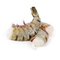 thumbnail image 6 of Aqua Gems Raw Black Tiger EZ Peel Shrimp, 10-20 ct. per pound, 2 lbs., 6 of 9